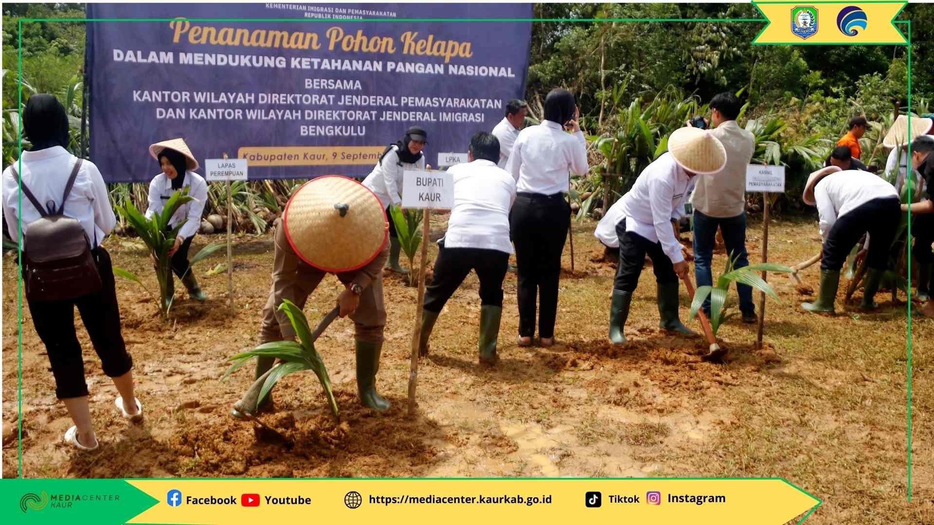 Dukung Program Ketahanan Pangan, Kemenimipas RI Tanam 2000 Bibit Kelapa di Kaur